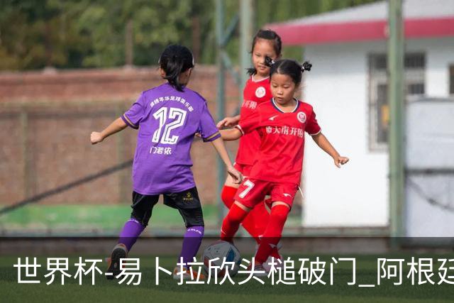 世界杯-易卜拉欣头槌破门 阿根廷失点半场0-1落后埃及